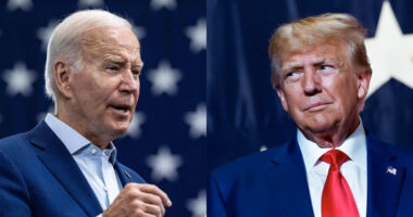 trump biden