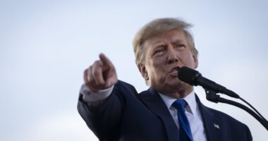 Trump Media’s DJT stock rises again after call to stop ‘naked’ short selling