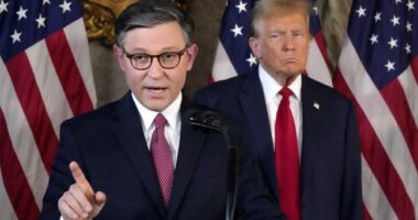 Trump Sides With Speaker Johnson