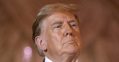 Trump: Would Be ‘My Great Honor’ to Become ‘Modern-Day Nelson Mandela’ in ‘the Clink’ for Speaking Truth About Judge Merchan