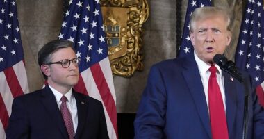 Former President Donald Trump (right) called President Joe Biden 'pretty pathetic' and claimed Iran wouldn't be attacking Israel if he remained in office. He spoke to reporters after meeting with House Speaker Mike Johnson (left)