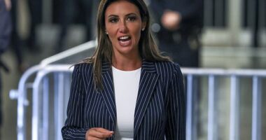 Donald Trump lawyer Alina Habba called an effort by the New York AG to block Trump's $175 million bond a 'complete waste of time.' A judge ruled Monday that it could stand but imposed new conditions