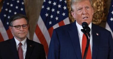 Donald Trump has confirmed he will testify at the Stormy Daniels hush money trial