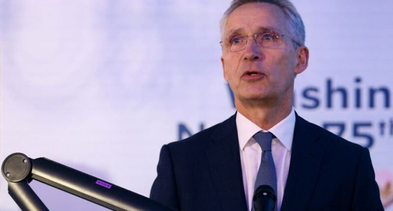 US Needs Europe for Its Security Too, NATO Chief Says