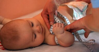 United States Total Fertility Rate Drops To Lowest In Approximately A Century, Report Says