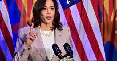 Vice President Harris speaking in Tucson, Arizona on Friday after the state's Supreme Court upheld a 1864 abortion ban. She blasted the ex-president saying 'Donald Trump did this'