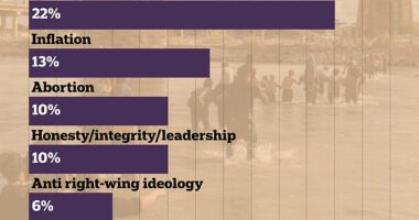 Voters don't care about Biden's $1 TRILLION climate change fight: Shocking poll reveals just 2% see his green agenda is the top issue, while 25% see the border as the top concern