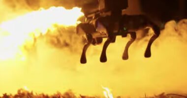 [WATCH] Four-Legged, Flame-Throwing Robot Dog Now Available For Public And Government Purchase