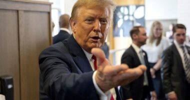 WSJ Poll: A Democrat Identidammerung in 2024?