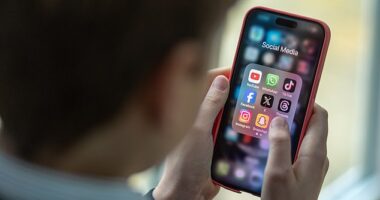 Pupils who attend schools where mobile phones are forbidden end up attaining higher grades in exams, the report found (Stock Image)