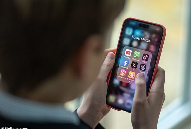Pupils who attend schools where mobile phones are forbidden end up attaining higher grades in exams, the report found (Stock Image)