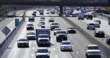 We Warned You: Germany Will Have to Ban Weekend Driving to Meet Net Zero Goals