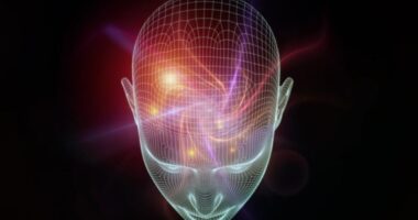 We asked our AI, “Neo,” about phytonutrients or phytochemicals that can block the SARS-CoV-2 spike protein. Here’s its answer…