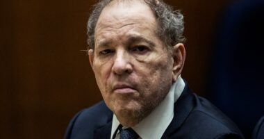 Weinstein’s lawyer says it’s a ‘great day for America’ after his rape conviction is overturned
