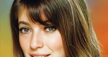 Who Is Joanna Shimkus? Everything You Need To Know About Sidney Poitier's Wife