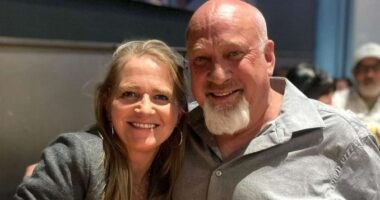 Who is Christine Brown’s new boyfriend David Woolley?