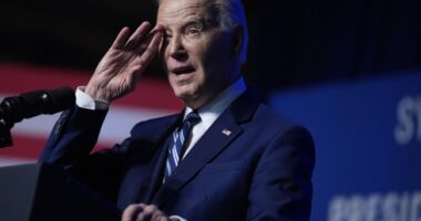 Why Small Businesses Hate Bidenomics – HotAir