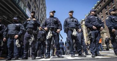 Wild Video of NYU Protesters Chasing and Surrounding NYPD Shows How Out of Control Things Are Getting – RedState