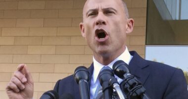 With No Shame Left to Lose, MSNBC Interviews Michael Avenatti From Prison Because Orange Man Bad – RedState