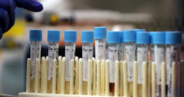 Woman Was Given Months to Live & Had 'Aggressive' Cancer Treatments ...  There's Just ONE Teensy Problem