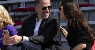 Woman Who Stole Ashley Biden's Diary Sentenced to One Month in Prison