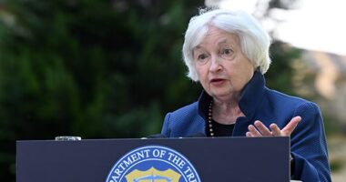 Yellen: There's 'More Distress' in Low-Income Households, But Households 'Generally' in 'Very Good' Shape