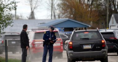 Young brother and sister dead, 15 injured when vehicle crashes into birthday party, sheriff says