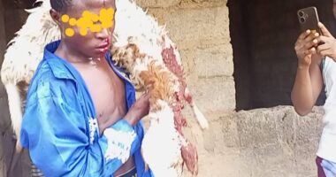 Young man nabbed for allegedly stealing ram in Nasarawa