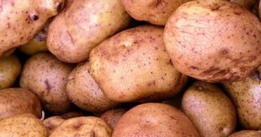 Food and flavour expert Matt Webster, from Seasoned Pioneers, warned that it's easy to make your roast subpar by ignoring simple rules along the way. Stock image used