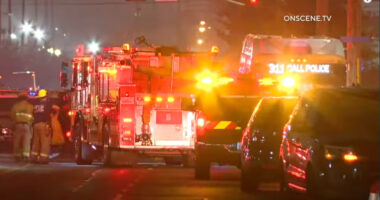 1 Dead in LA Bus Hijacking