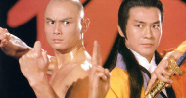 10 Must-See Movies with Martial Arts Legend Lee Hoi-Sang