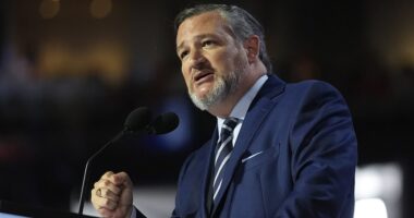 2024 presidential election live updates: Shock new poll reveals Ted Cruz could be in trouble in Texas