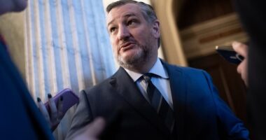 2024 presidential election live updates: Ted Cruz hit with dire warning in polls in his race with Colin Allred