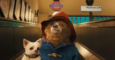 25 Calming Movies to Watch When You Need to Relax