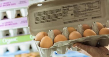 Uh-Oh! FDA Issues Egg Recall On Milo’s Poultry Farms Products After At Least 65 People Fall Ill In THESE States
