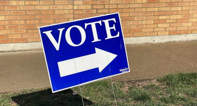 99% Of Paired Signatures For Arizona RCV Initiative Are Duplicates
