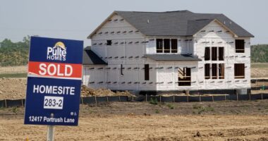 A possible Fed interest-rate cut boosts home builders confidence