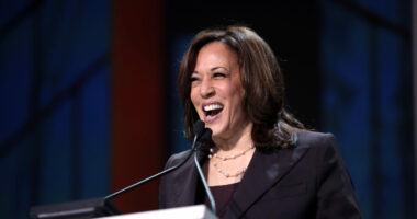 ABC News Reporters Have '100% Positive Spin Score' for Kamala, 7% for Trump.