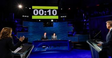 ABC News debate moderator Linsey Davis made a stunning admission about their attempts to 'fact check' Donald Trump during his debate with Kamala Harris