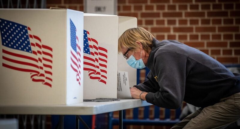 Woman casts a vote in booth.