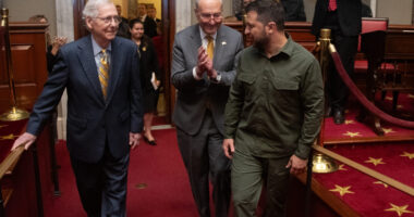 After Zelensky Trashed Trump in PA, McConnell Rewarded Him With Photo-Op