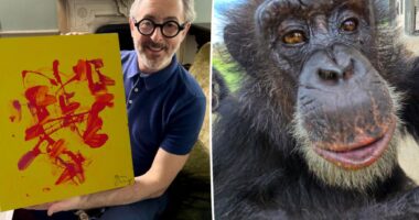 Alan Cumming collaborates on abstract painting with a chimp