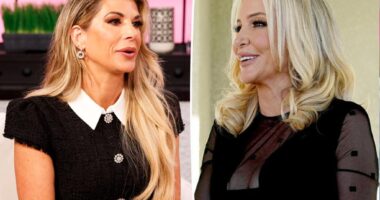Alexis Bellino says she is bringing Shannon Beador 'receipts' to 'RHOC' reunion