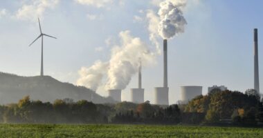 Americans Having to Choose Between Food and Energy – HotAir