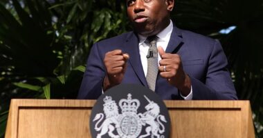 The Foreign Secretary (pictured) on Tuesday. In his first major policy speech, he focused on the environmental impact of rising temperatures