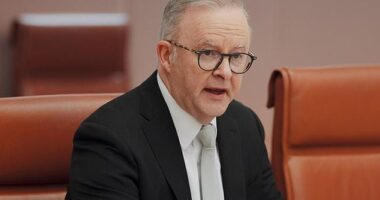 National Cabinet has agreed a $4.7bn package to take a 'nationally coordinated approach' to fighting family violence. Picture: NewsWire / David Beach