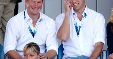 When Harry turned 30 in 2014, Prince William threw his party-loving brother a birthday bash at Clarence House (pictured together that year)