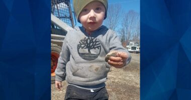 BOLO: Police Seek Tips on Missing Maine Tot and Mother