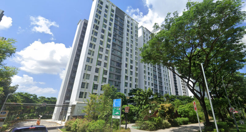 Bidadari flat sells for S$1.2 million after hitting minimum occupation period (MOP) - Mothership.SG
