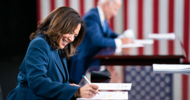 Biden Admits Delegating Both Domestic AND Foreign Policy to Kamala.